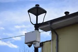 C&Aacute;MARA RENEDO PI&Eacute;LAGOS