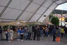 ARCHIVO FERIA D&Iacute;A - FIESTAS SAN ANTONIO RENEDO PI&Eacute;LAGOS