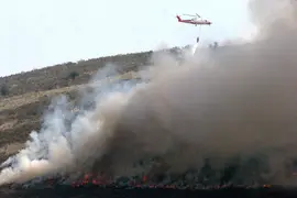 11:00	Helipuerto de Ruente 	El consejero de Ganader&iacute;a, Agricultura y Pesca, Jes&uacute;s Oria,  asiste al desarrollo de un ejercicio pr&aacute;ctico de coordinaci&oacute;n a&eacute;rea en extinci&oacute;n de incendios forestales.

Nacho Romero &copy;
12 abril 07