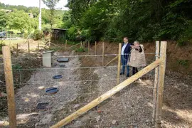 fomento los tojos03