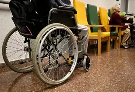 webinclusion ayudas