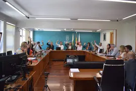 PLENO AYTO PI&Eacute;LAGOS - JULIO 2024