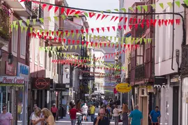 banderines 2 agosto 2023 (4)
