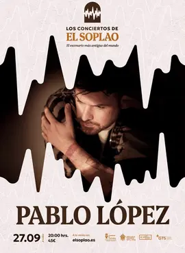 Web conciertos soplao