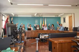 PLENO AYTO PI&Eacute;LAGOS - OCTUBRE 2024
