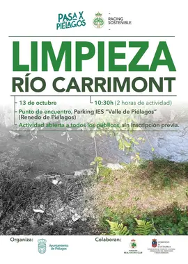 CARTEL JORNADA VOLUNTARIADO AMBIENTAL RENEDO PI&Eacute;LAGOS