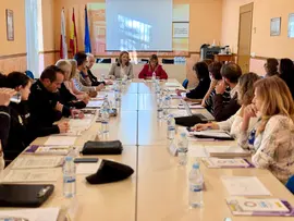 Mesa Corodrinaci&oacute;n Delegaci&oacute;n_Violencia de G&eacute;nero
