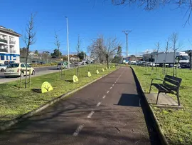 Nuevos &aacute;rboles Paseo Fama 2