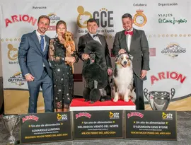 Gala Criadores - Top 3