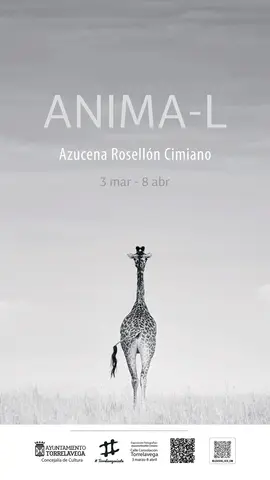 cartel expo_azucena_page-0001