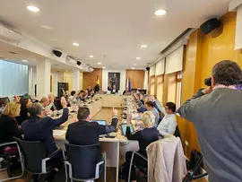 Pleno 4 marzo 2025 4