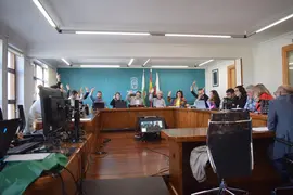 PLENO AYTO PI&Eacute;LAGOS - MARZO 2025