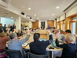 Pleno 1 abril 2025