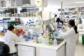 salud nanomedicina idival