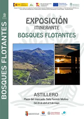 CARTEL EXPOSICI&Oacute;N ASTILLERO (online)