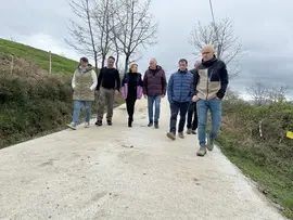 rural camino soba