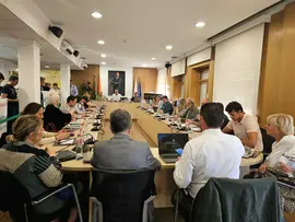 Pleno 29 abril 2025