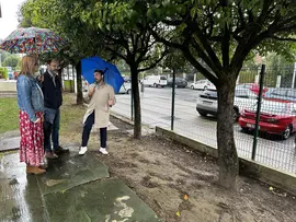 Urraca colegio Fernando de los R&iacute;os 13 mayo 2025