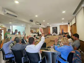 Pleno 29 mayo 2025