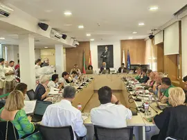 Pleno 18 junio 2025