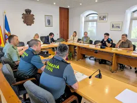 Junta local de seguirdad
