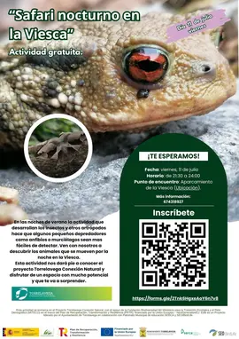 ruta hasta 11 de julio inclusive