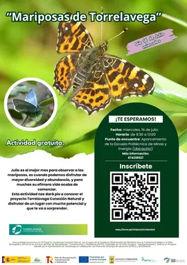 MARIPOSAS DE TORRELAVEGA 16 de julio