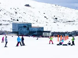 Web alto campoo